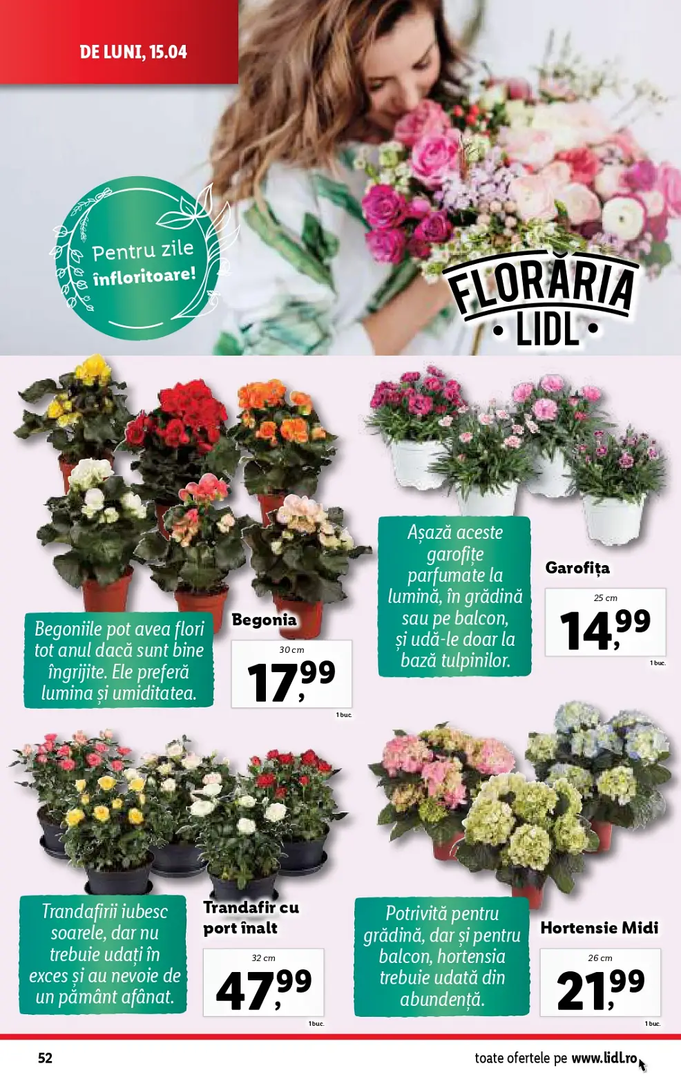 catalog Lidl